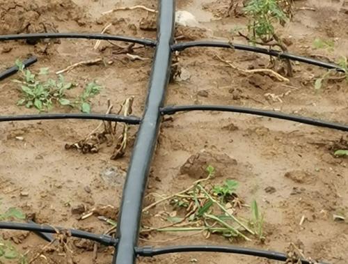 dr11 hdpe pipe
